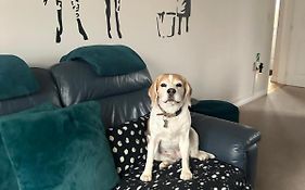 Hereford - Finch House - Modern 4 Bedroom House Located In South Hereford, Dog Friendly With Nearby Countryside, Pool Table, Sleeps Up To 10 Guests - Hosted By Rentmyhouse